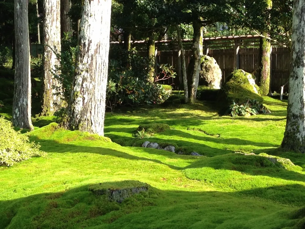 叡智の杜／苔の里