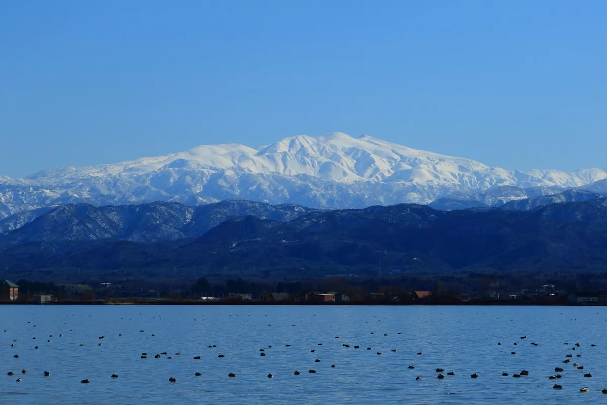 柴山潟