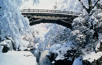 鶴仙渓