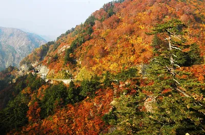 白山白川郷ホワイトロード